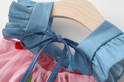 Strawberry Shortcake Princess Summer Dress 0-3 Years