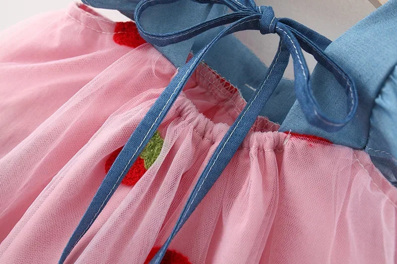Strawberry Shortcake Princess Summer Dress 0-3 Years
