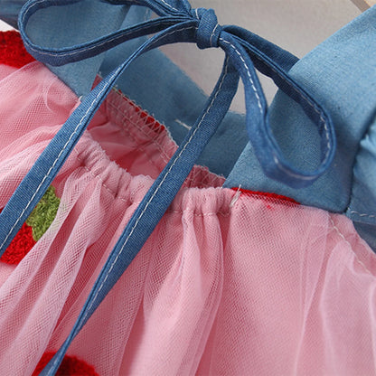 Strawberry Shortcake Princess Summer Dress 0-3 Years